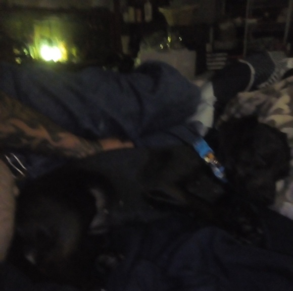 Meet your Posher, Kim - Picture 1 of 1